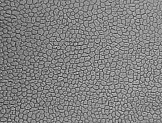 Zdivo kamenné kyklopské šedé 200x180 mm