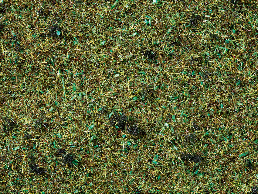 Noch 08350 Statická tráva 2,5mm, lesní půda, 20 g