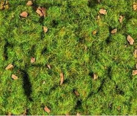 Peco PSG-211 Statická tráva alpská kamenitá jarní louka 2 mm, 30g