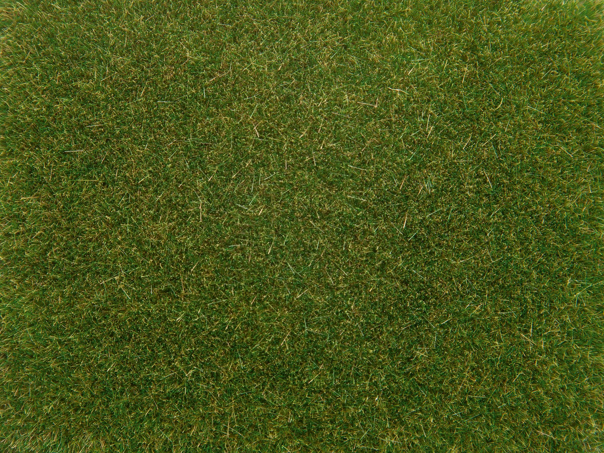 Noch 08364 Statická tráva 4 mm, středně zelená, 20g