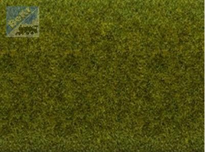 Noch 00265 Koberec 120 x 60 cm zelený luční louka