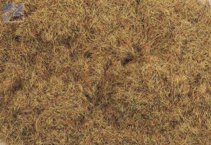 WWSCENICS WSG2-039 Statická tráva zelenohnědošedá lesní 2 mm, 50g