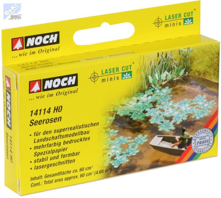 Noch 14114 Lekníny, cca 60 cm²
