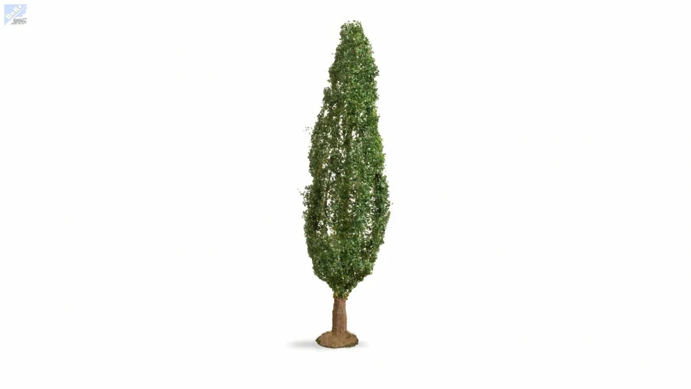 Noch 20130 Topol, 18 cm