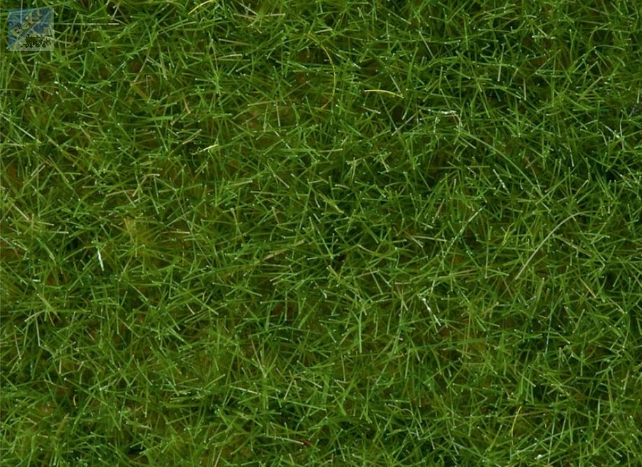 Noch 07102 Statická tráva 6 mm, divoká tráva, světle zelená, 50 g