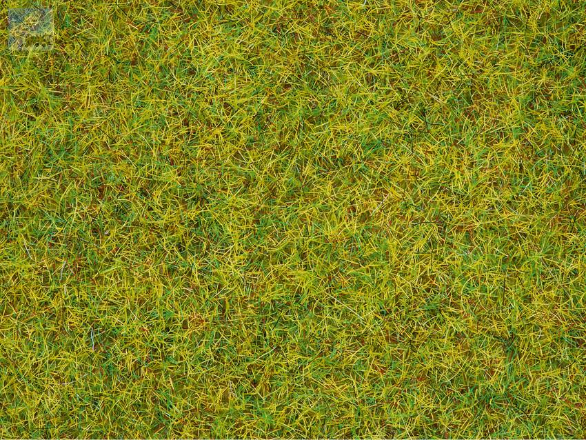 Noch 08310 Statická tráva 2,5 mm, středně zelená, 20 g