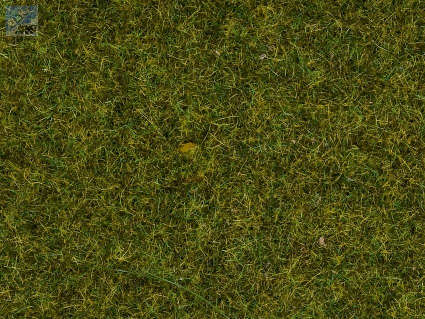 Noch 50220 Statická tráva 2,5 mm, zelená louka, 100 g