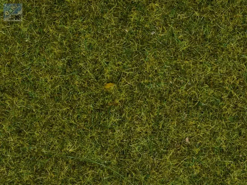 Noch 08312 Statická tráva 2,5 mm, světle zelená, 20 g