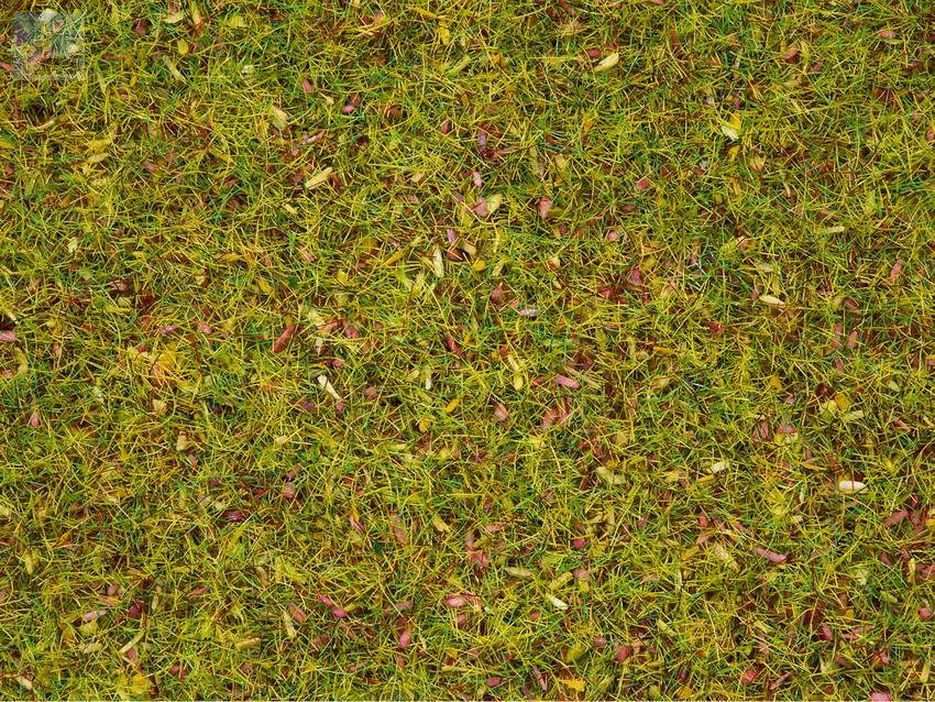 Noch 08330 Statická tráva 2,5 mm, kvetoucí louka, 20 g