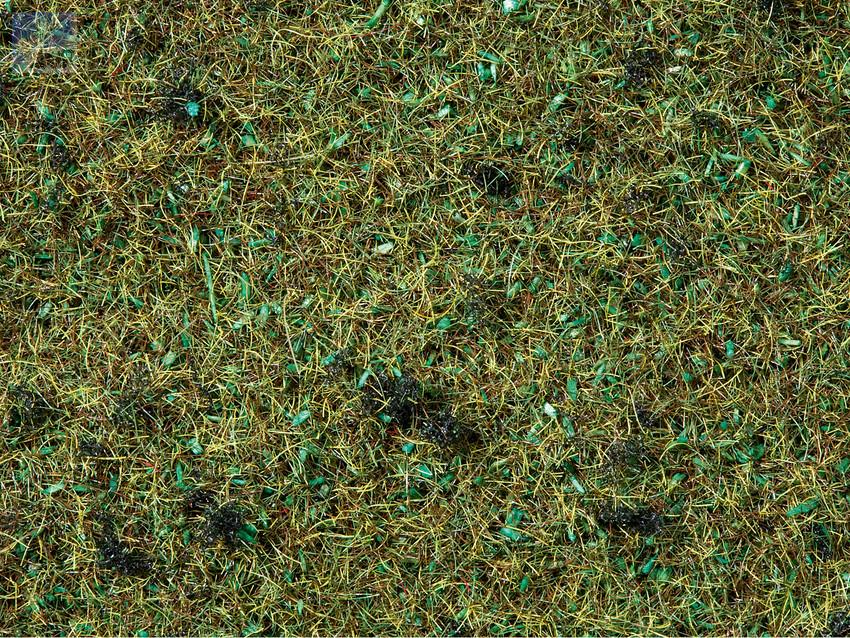 Noch 08350 Statická tráva 2,5mm, lesní půda, 20 g