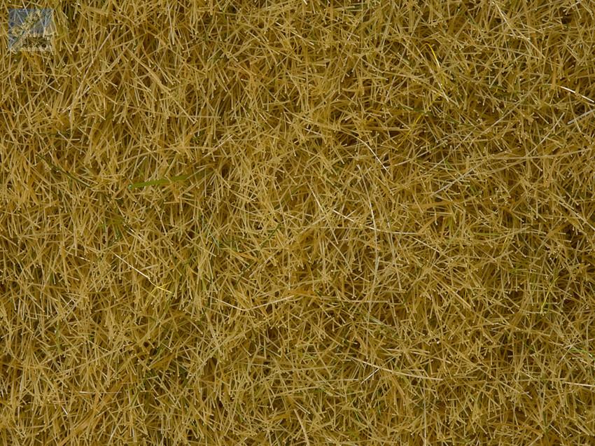 Noch 07101 Statická tráva 6 mm, divoká tráva, 50 g